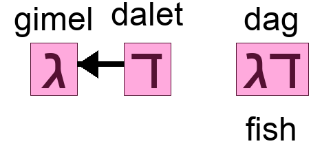 דג - fish