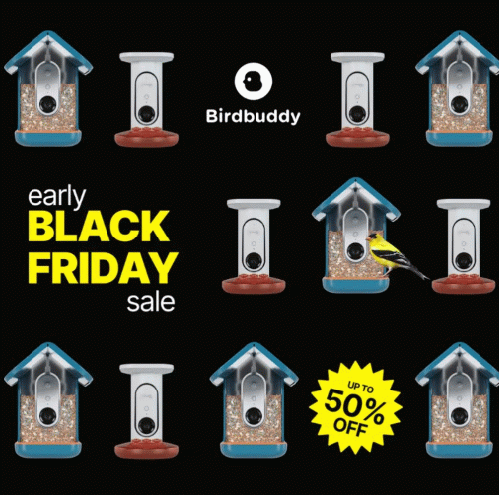 Black Friday sale on bird houses